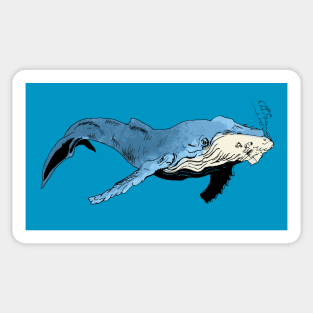 blue humpback whale Sticker